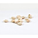 Nuez de la India 15 seeds