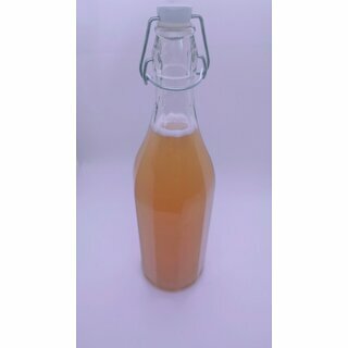 Kombucha-Pilz, im Schraub-Glas mit Ansatz-Flüssigkeit zum Selber-Züchten