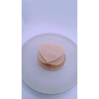 Organic Kombucha mushroomr with preparation liquid for...