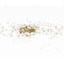 Artemisia annua seeds, annual mugwort 250 pcs.