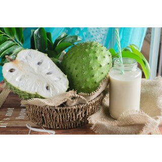 Graviola, Soursop, Guanabana Fruchtpüree 100g tiefgefroren